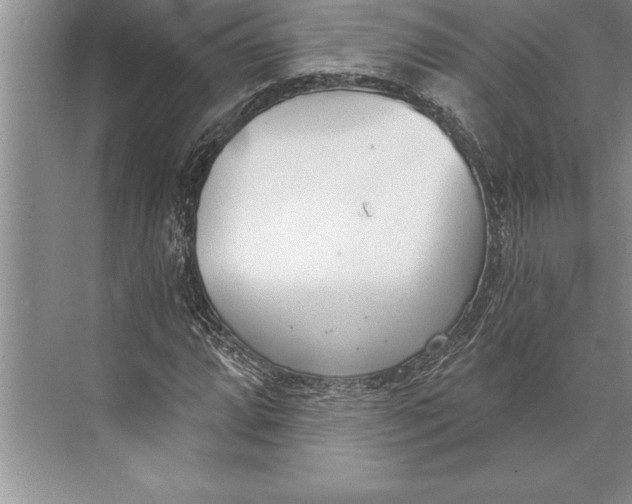 X0000074941064200609221659