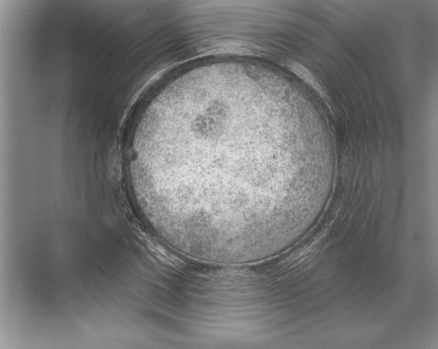 X0000074941067200609221659