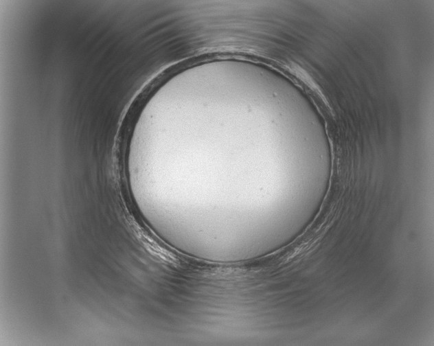 X0000074941068200609221659