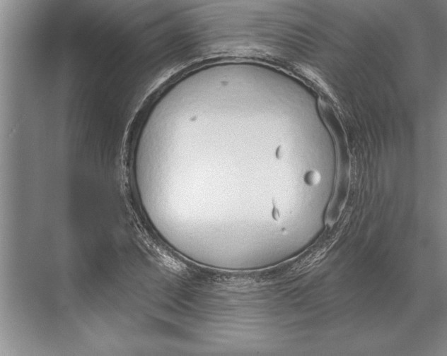 X0000074941071200609221659