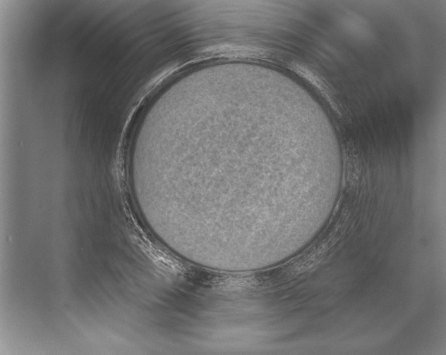 X0000074941074200609221659