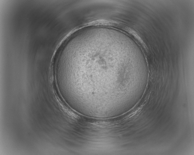 X0000074941075200609221659