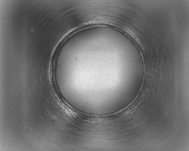 X0000074941076200609221659