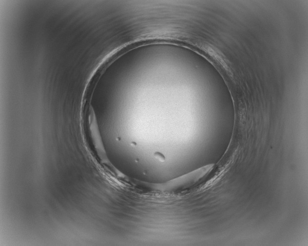 X0000074941077200609221659