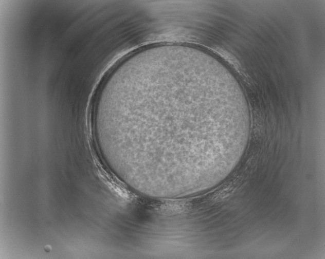 X0000074941078200609221659