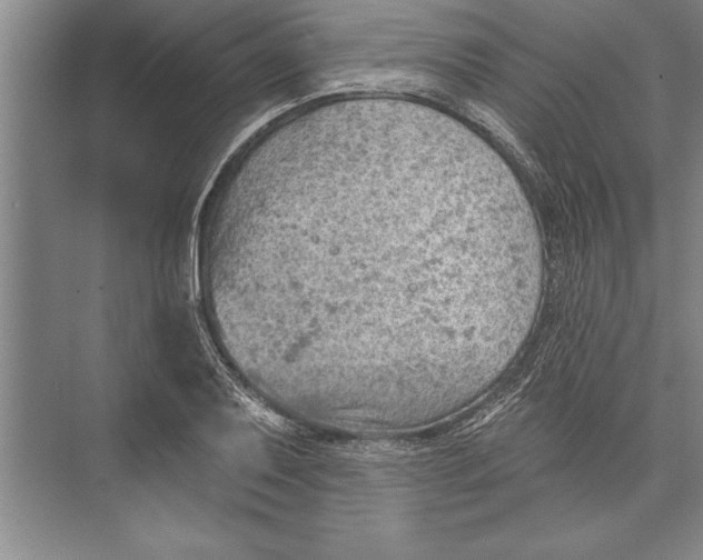 X0000074941079200609221659