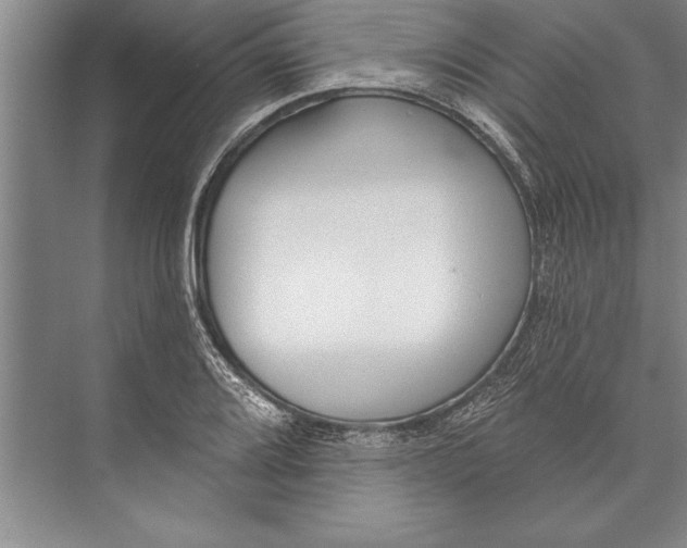 X0000074941080200609221659