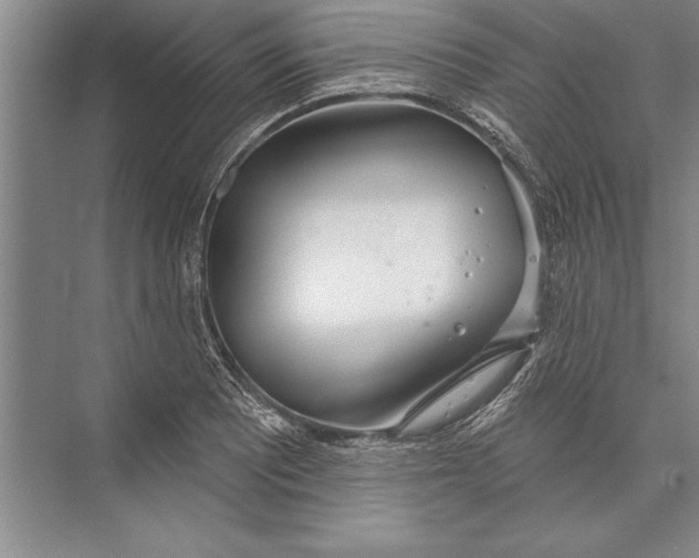 X0000074941081200609221659