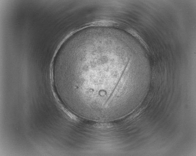 X0000074941083200609221659