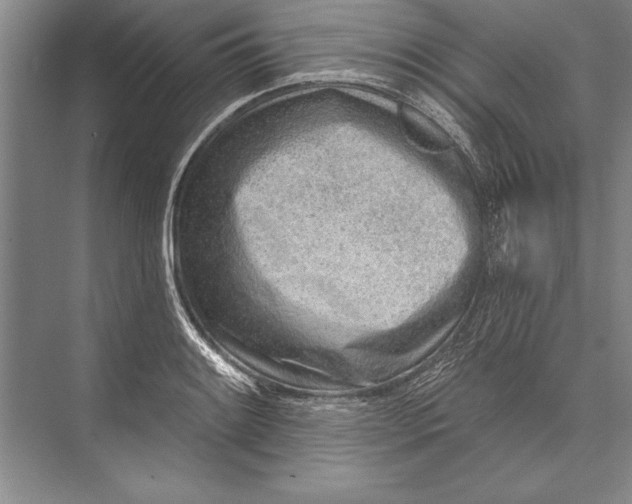 X0000074941084200609221659