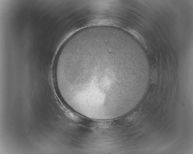 X0000074941086200609221659