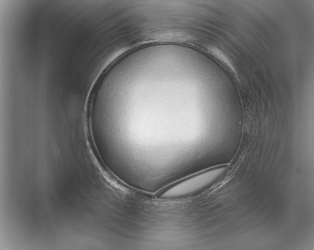 X0000074941087200609221659