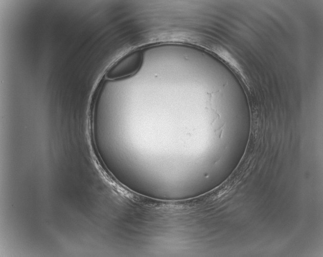 X0000074941088200609221659