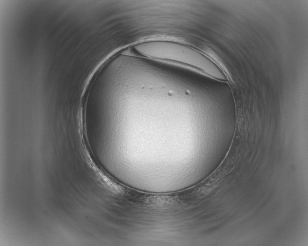 X0000074941092200609221658