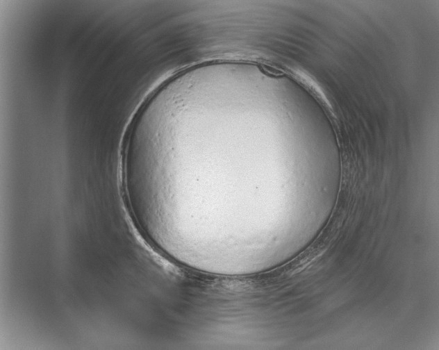 X0000074941095200609221658