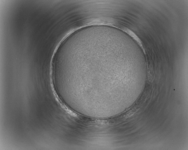 X0000074941096200609221658