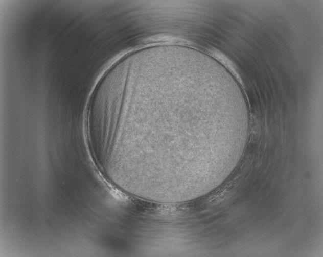 X0000074941098200609221658