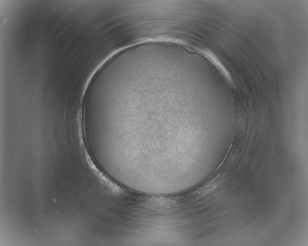 X0000074941100200609221658