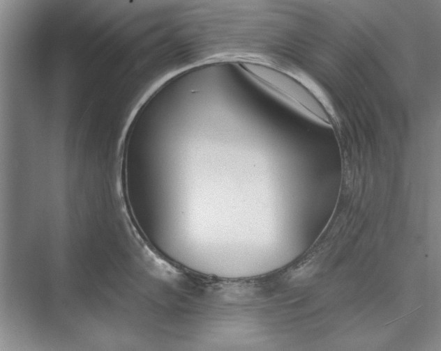 X0000074941102200609221658