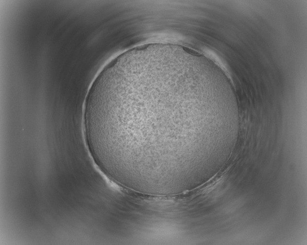 X0000074941103200609221658