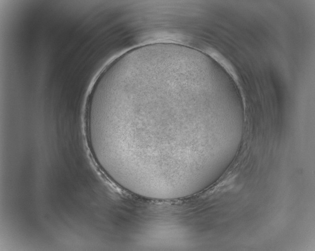 X0000074941104200609221658