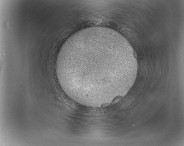 X0000074941105200609221657