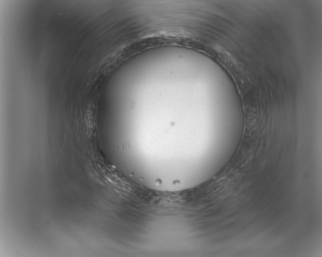 X0000074941110200609221658