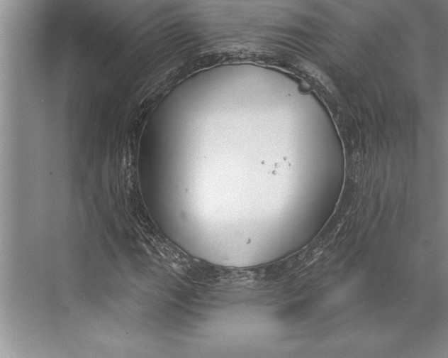 X0000074941111200609221658