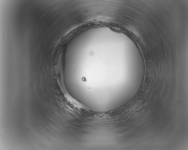 X0000074941112200609221658