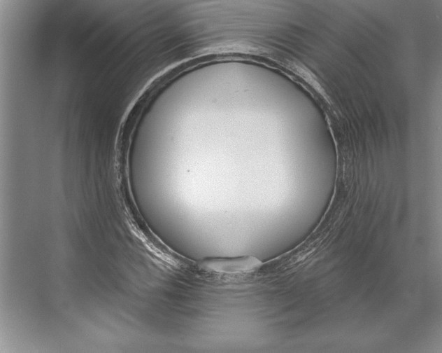 X0000074941116200609221658