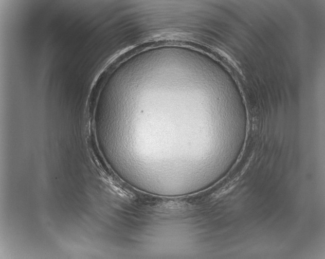 X0000074941117200609221658