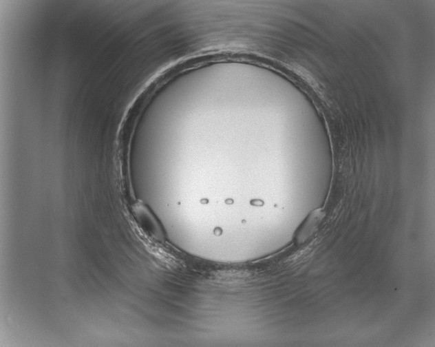 X0000074941118200609221658