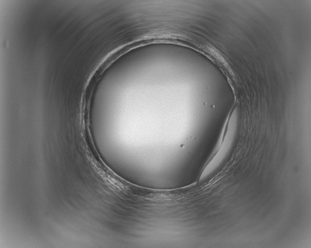 X0000074941124200609221658