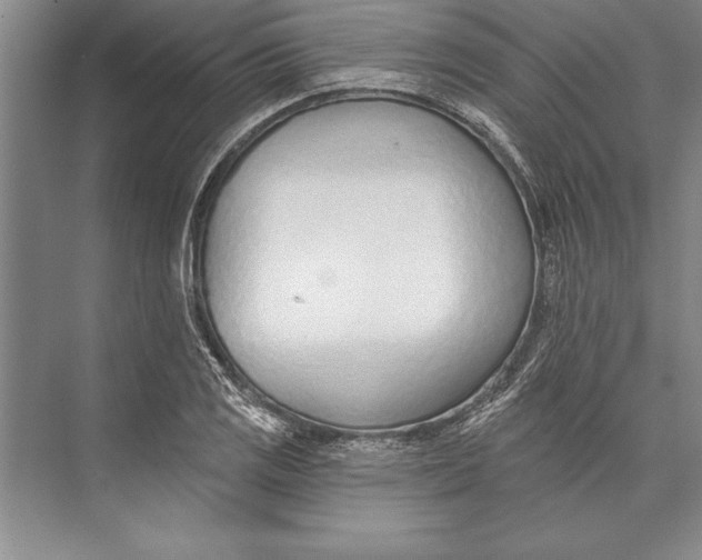 X0000074941125200609221658