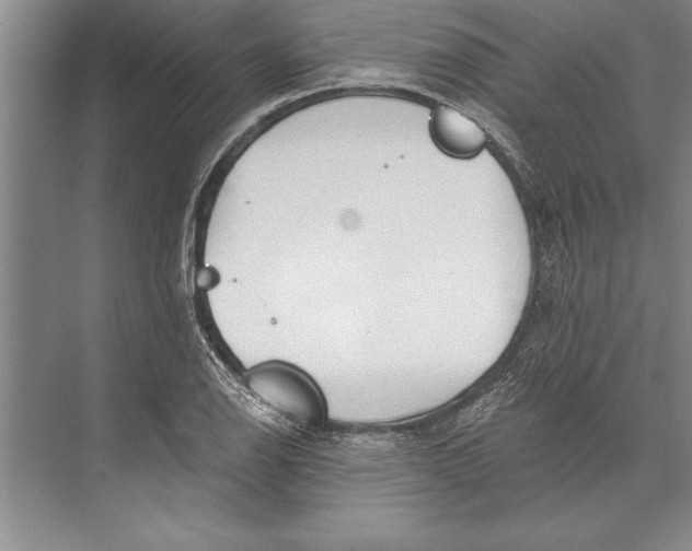 X0000074941126200609221658