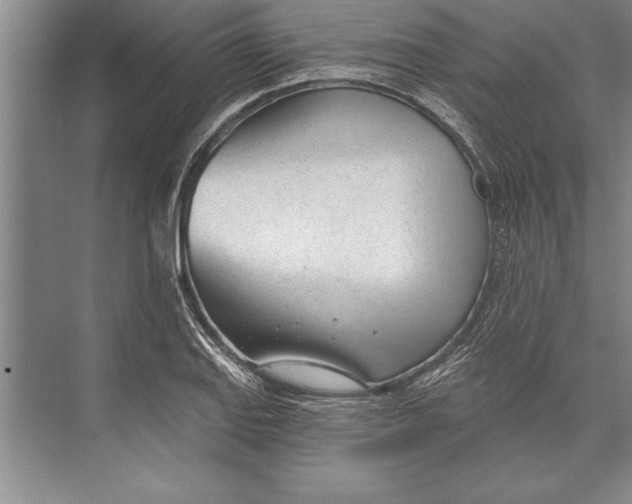 X0000074941127200609221658