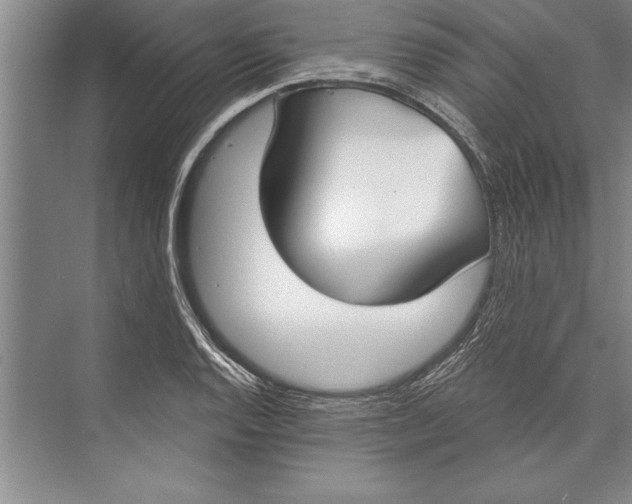 X0000074941128200609221658