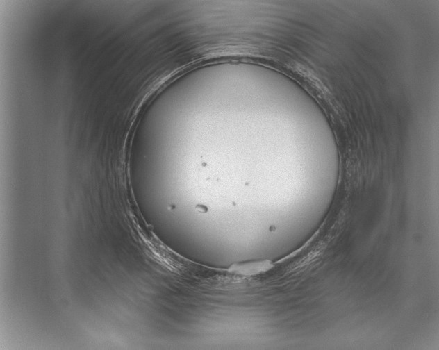 X0000074941129200609221658