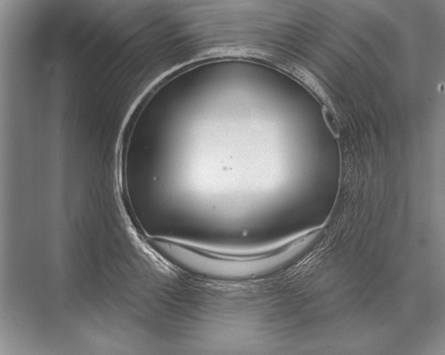 X0000074941132200609221658