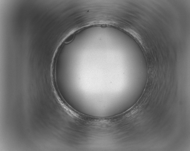 X0000074941135200609221658