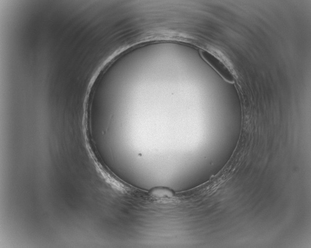 X0000074941136200609221658