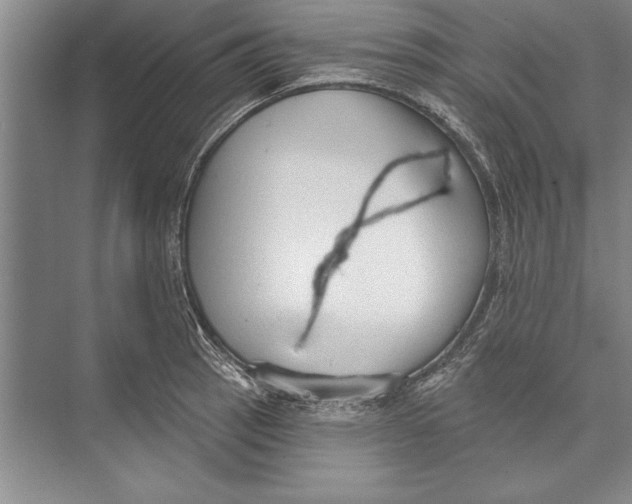 X0000074941137200609221658