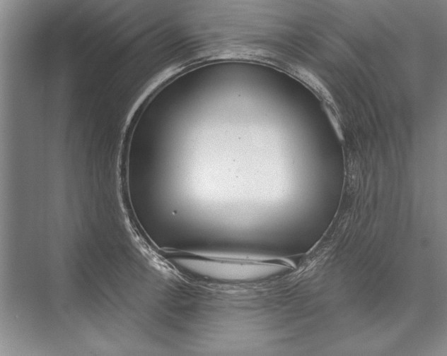 X0000074941138200609221658