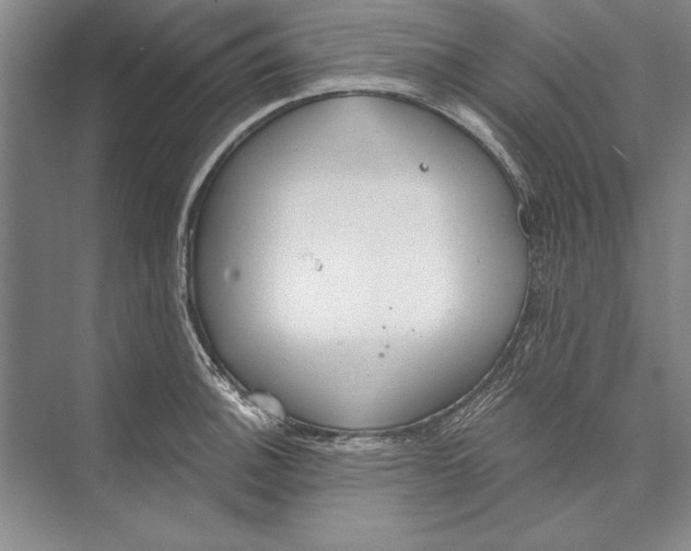 X0000074941140200609221658