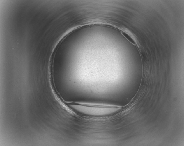 X0000074941142200609221658