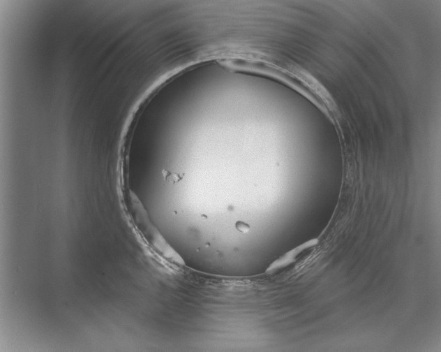 X0000074941144200609221658