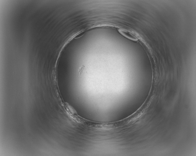 X0000074941145200609221658