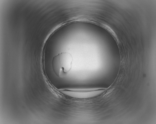 X0000074941146200609221658