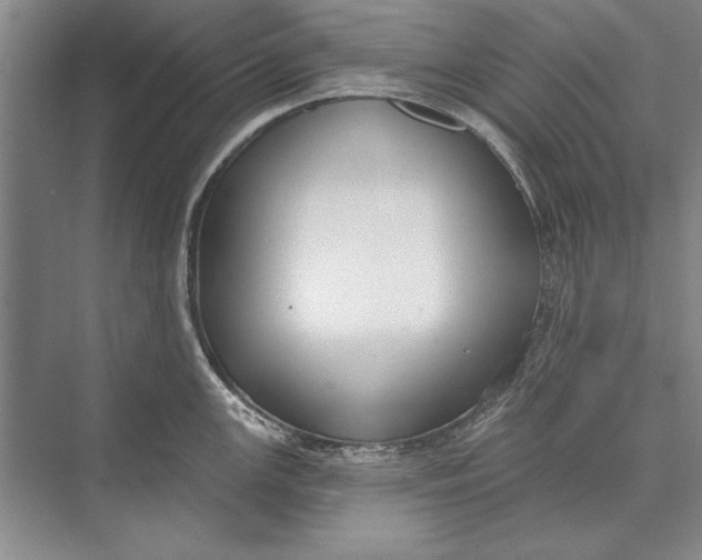 X0000074941147200609221658