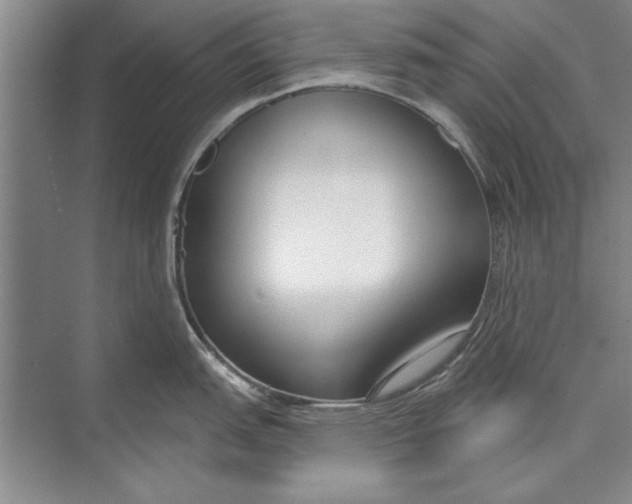 X0000074941151200609221658